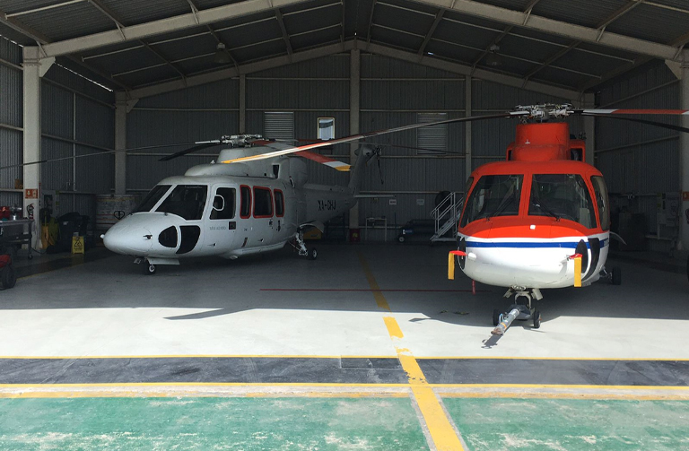 Helicopter Touring 12 Pax Image